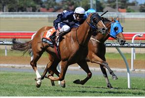 Muchos continues to earn respect at Geelong